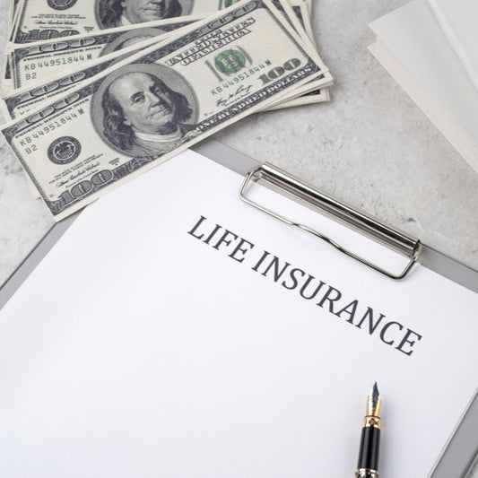 $1 Million Life Insurance Policy